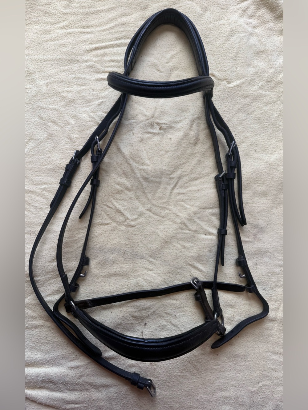 Passier drop noseband bridle